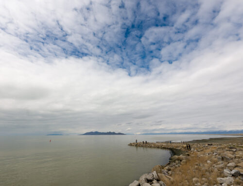 Utah report highlights successes and faults in environmental policy