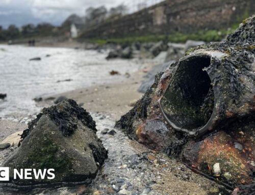 NI Water should be prosecuted for pollution incidents, review finds