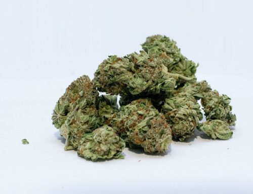 Regular cannabis use poses risks to those over 65, experts caution