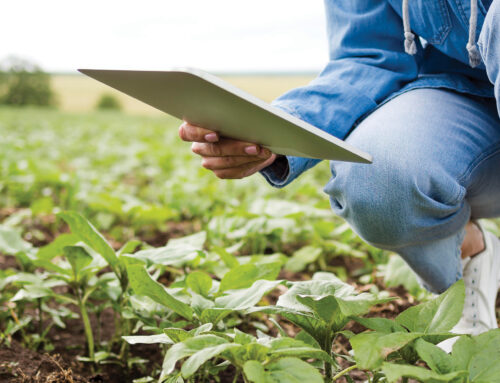 Everything is Connected: Foltz’s research investigates interplay between farming practices