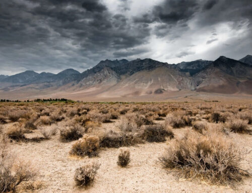 US officials spark outrage with sudden move that could lead to higher energy bills: ‘Poten