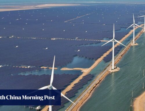 China’s clean-energy stocks closing gap with global renewables surge