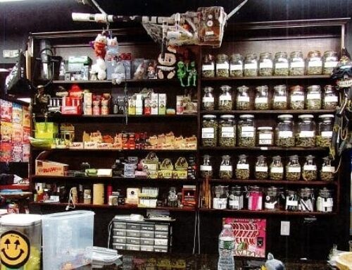 100 Pounds Of Marijuana, $50K Cash Seized In Suffolk Cannabis Raids: Police