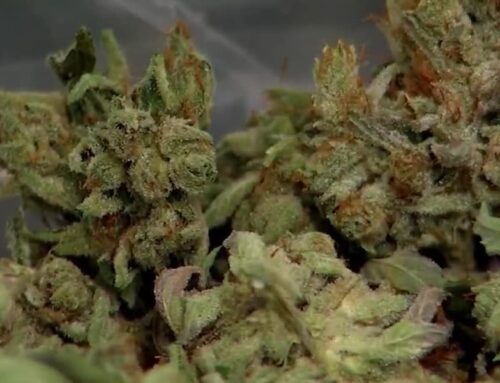Rockford leaders consider repurposing cannabis fee to prevent property tax hike