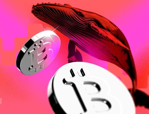 New Bitcoin Whales Control 45% of BTC Realized Cap — Here’s Why That’s a Problem