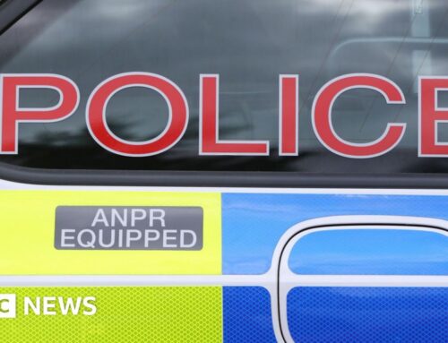 Portadown: Man arrested after cannabis worth £120,000 seized
