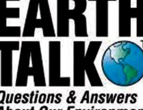 EarthTalk: Why your backyard can help the environment