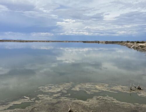 New Mexico Environment Department launches public health survey focused on PFAS at Holloma