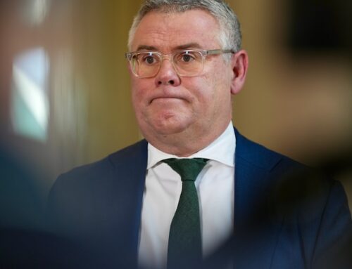 Labor rejects ‘mad’ Coalition idea to cut environmental reforms in two