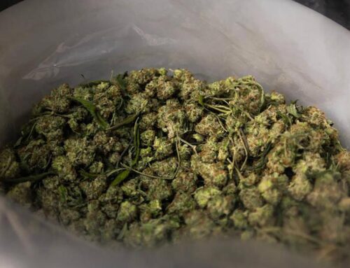 Washington: Are dangerous car crashes being perpetuated by cannabis?