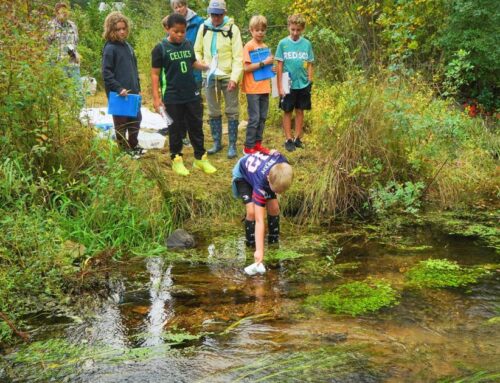 PHOTOS: 5th Graders Learning About The Environment