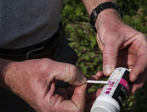 Here’s how Iowans can take ownership over their water quality
