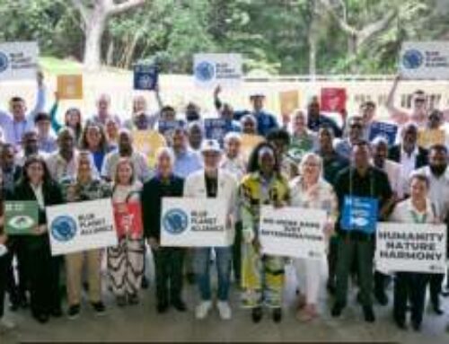 Charity turns to Hawaii for renewable energy solutions