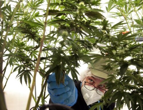 Nebraska’s medical cannabis program would be among country’s most restrictive