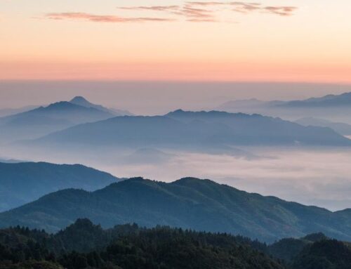 National park law to balance environment and interest