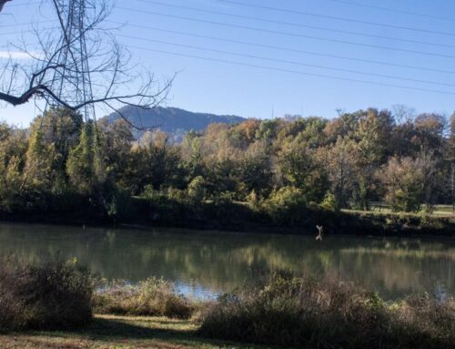 TDEC sends Eastman advisement letter over discharges