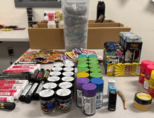 Indiana woman arrested with 11 pounds of marijuana during traffic stop in Clarksville