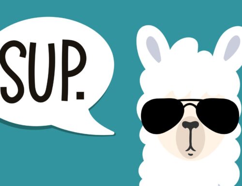 Meta Llama: Everything you need to know about the open generative AI model