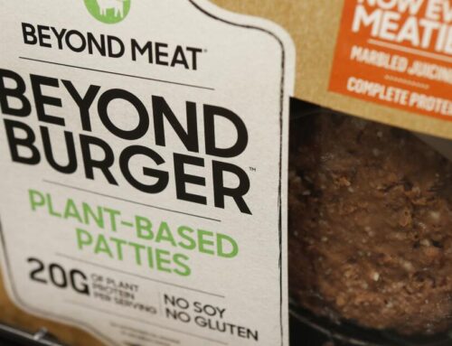 Commentary: Meme stocks are still with us, offering new temptations for novice and unwary