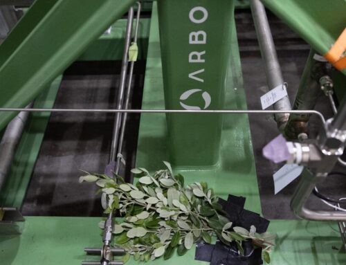 Letters to the Editor: With biomass energy’s risks, wind and solar should be prioritized