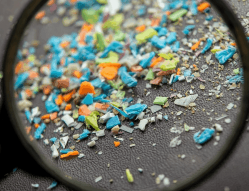 POLL: How concerned are you about microplastics impacting the environment?