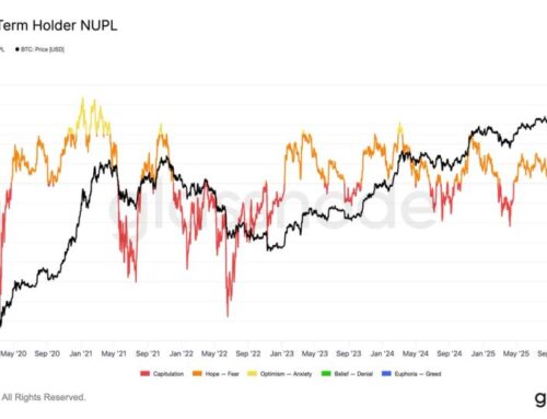 A 20% BTC Correction on the Table: Glassnode