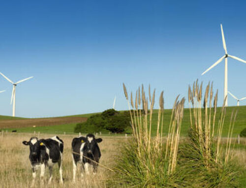 Turning sunlight into fuel: QD-SOL’s vision for a hydrogen-powered world