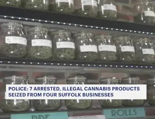 7 arrested in raids at multiple cannabis businesses in Suffolk
