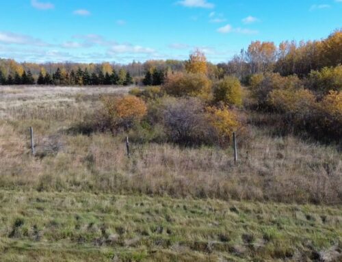 Residents raise concerns over proposed cannabis facility near Mentor, Minn.
