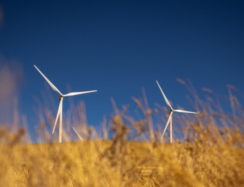 California Extends Tax Break for Renewable Energy, Manufacturing