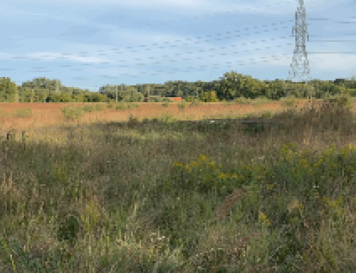 Grand Rapids hits the on switch for solar project at old Butterworth Landfill