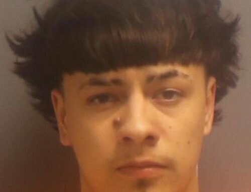 Ogema man sentenced on felony cannabis charge