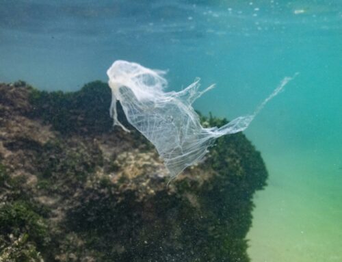 Plastic Pollution Treaty Not Dead In The Water: UN Environment Chief