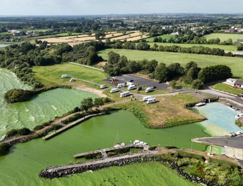 Independent regulator for environment in Northern Ireland recommended
