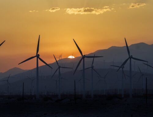 Solar and wind power has grown faster than electricity demand this year, report says