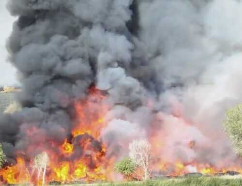 West Valley controlled burn meant to help environment, Phoenix Fire says