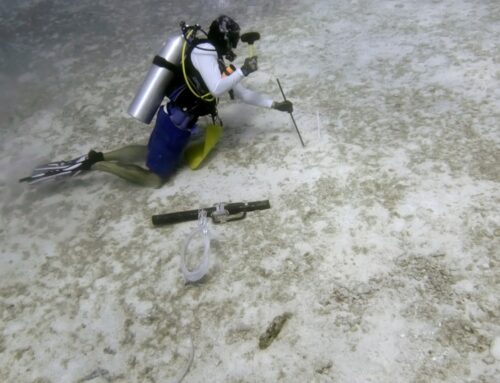 Climate change is not a ‘con job’