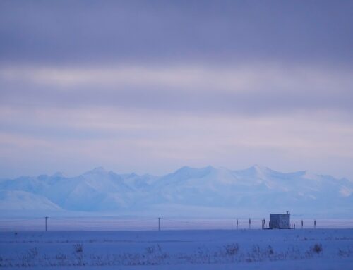 Trump administration to open up Alaska wildlife refuge to drilling