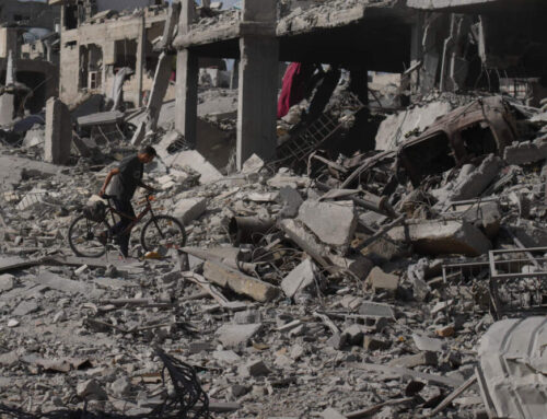 After years of war, Gaza faces environmental devastation