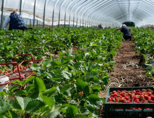 With startup, researchers plan to help growers feed more people, preserve environment