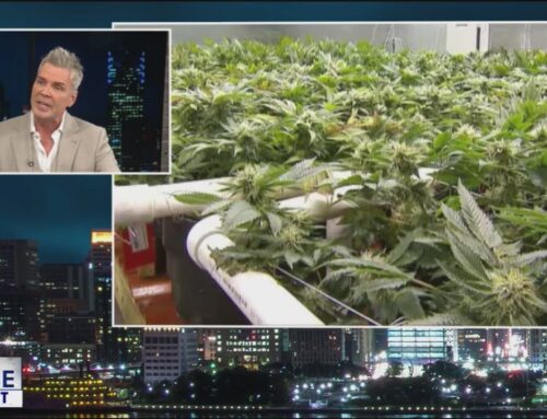 Shutdown showdown & Proposed Michigan cannabis tax hike