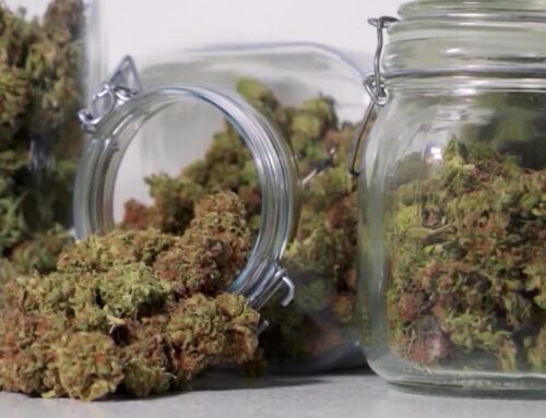Walz signs cannabis deal with Fond du Lac Band of Lake Superior Chippewa