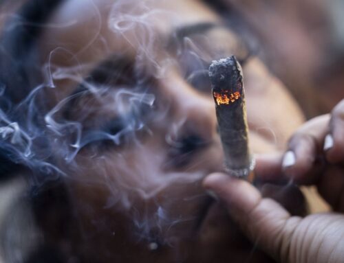 Cannabis advocates: N.Y. law needed for trafficked products