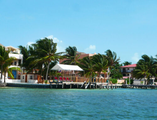 Where National Politics Failed, Can Local Democracy Prevail? The Caye Caulker Cannabis Ref
