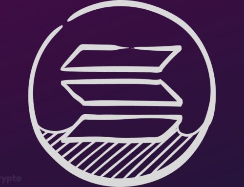 Solana Beats Ethereum and Polygon to Emerge as the Best-Performing Blockchain‬