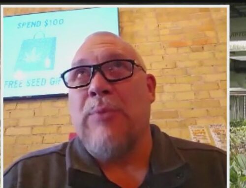 Minnesota cannabis licenses resold like concert tickets | FOX 9 Minneapolis-St. Paul