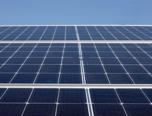 Gujarat adds 6.6 GW renewables April–August, solar leads growth