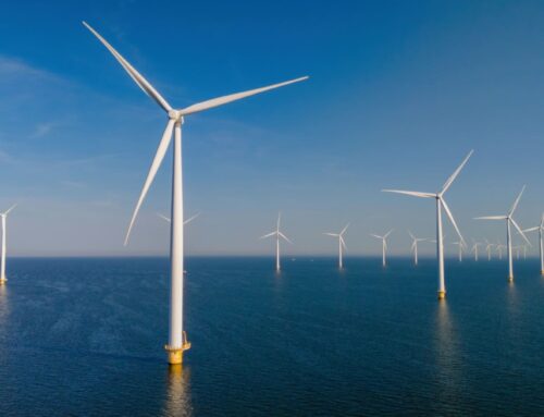 Vestas scales back Polish blade operations as European offshore demand weakens