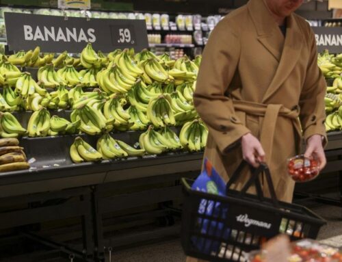 Ecuadorian banana workers file complaint over labor, environment issues