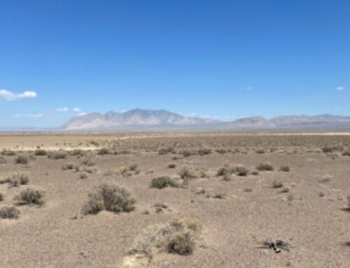 The Trump administration just killed the US’s largest solar project